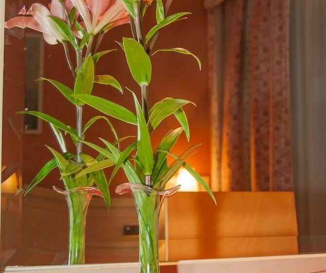 اتاق استاندارد یک نفره, Ana Maria