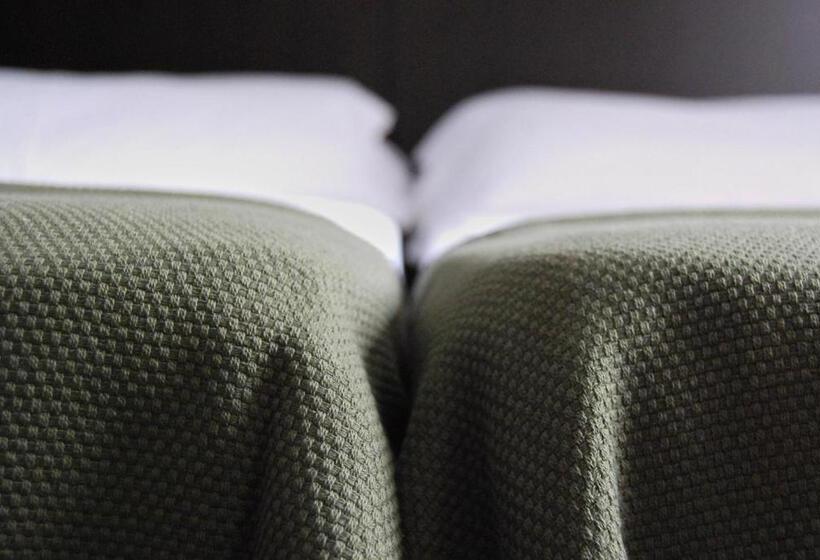 スタンダードルーム, Arrasate