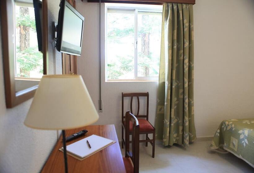 스탠다드 룸, El Coloso