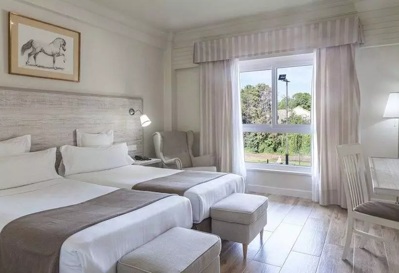 اتاق استاندارد, Jerez