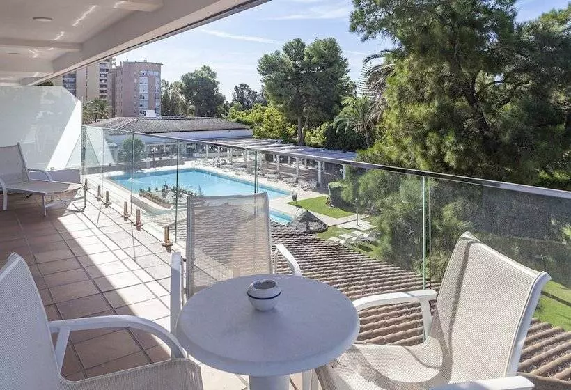 سوییت جونیور, Jerez