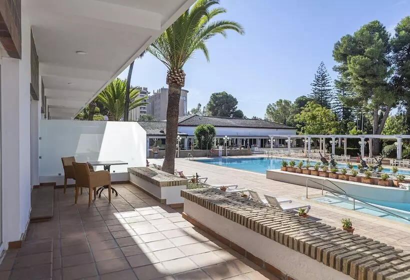 سوییت جونیور, Jerez