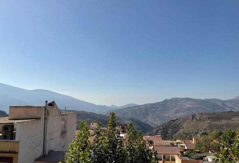 جناح مزود بتراس, Nuevo Palas