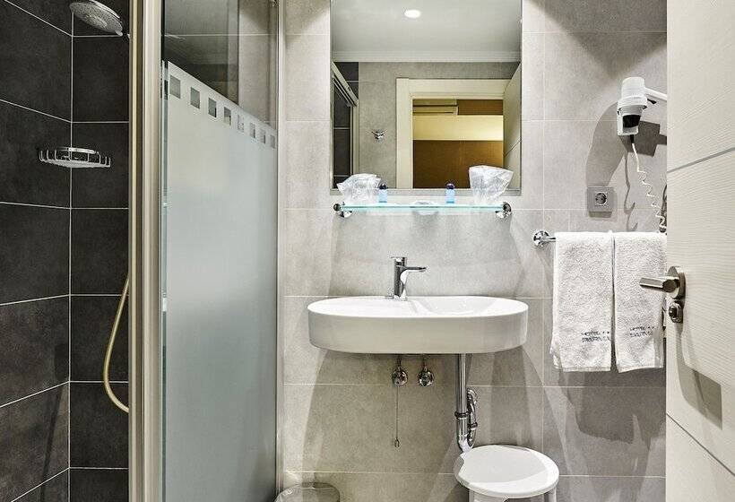 Camera Standard Vista Città, Parma