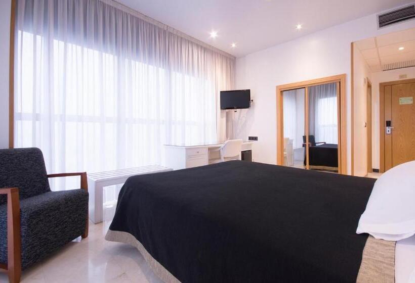 اتاق استاندارد با دسترسی به اسپا, Auditorio Santiago & Spa