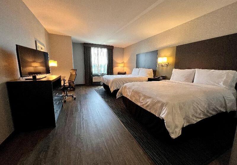 اتاق استاندارد, Bahía   30º Hotels