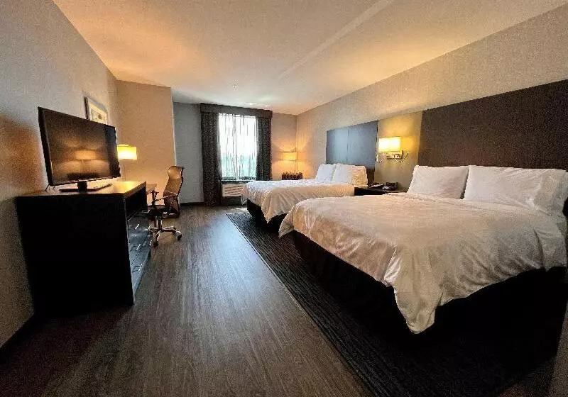 اتاق استاندارد, Bahía   30º Hotels