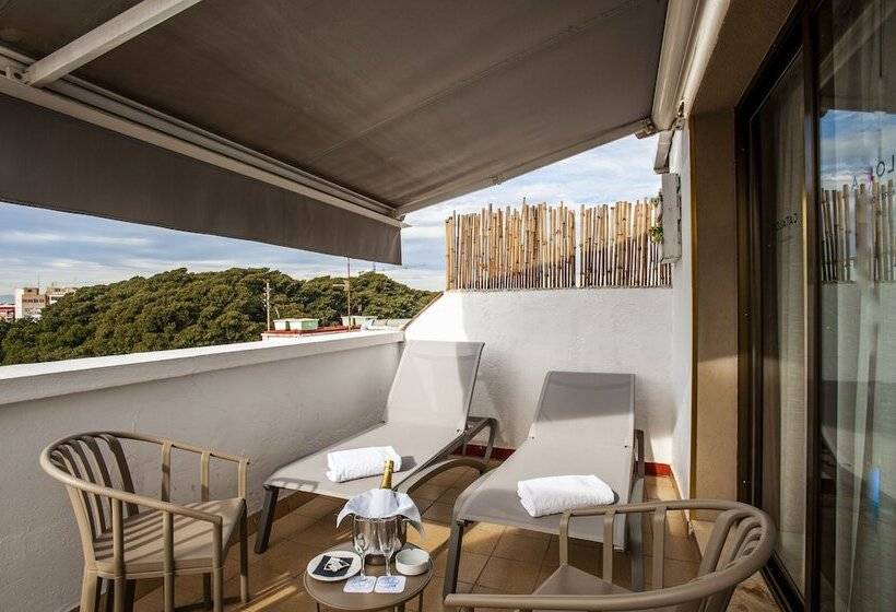 اتاق استاندارد با تراس, Catalonia Conde de Floridablanca