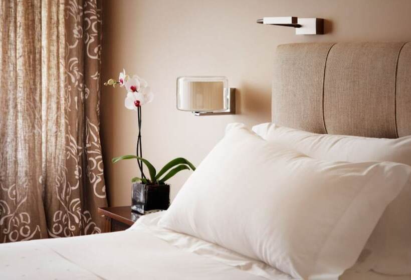 スタンダードルーム, Rector