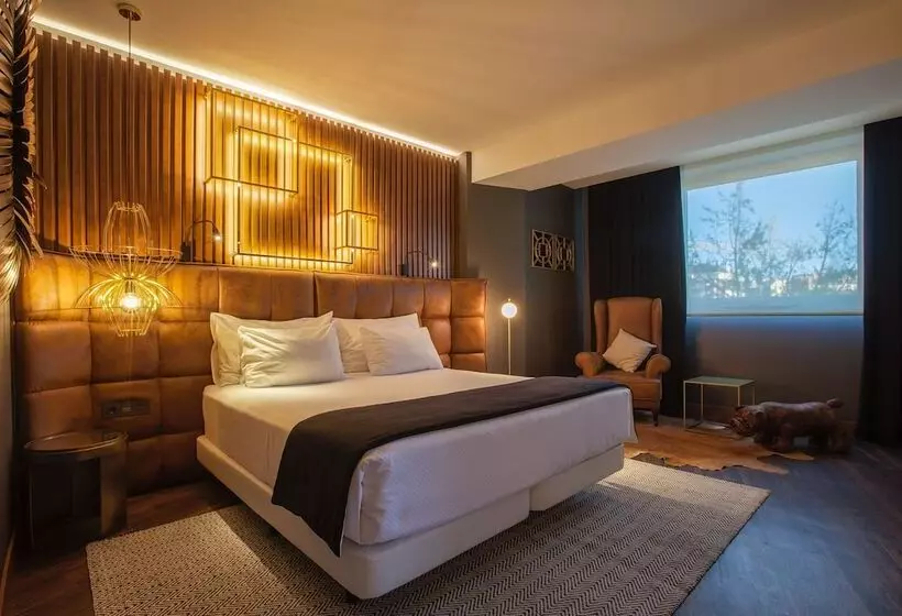 سوییت, Tres Reyes Pamplona