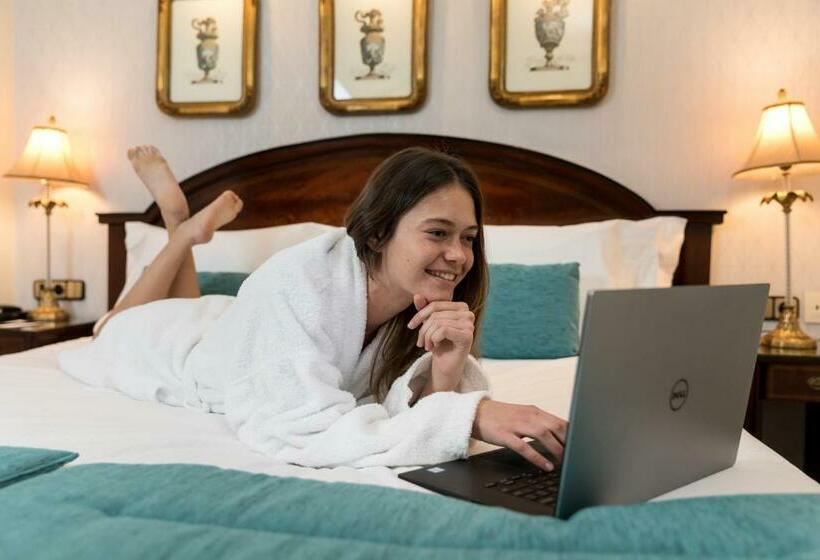 اتاق استاندارد با چشمانداز, Sercotel Gran Hotel Conde Duque