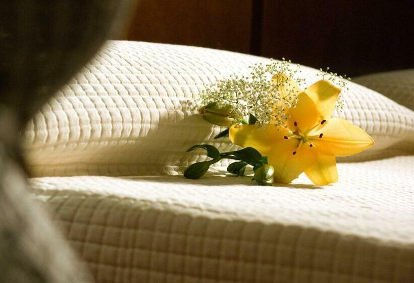 اتاق استاندارد یک نفره, Alexandre Hotel Gala