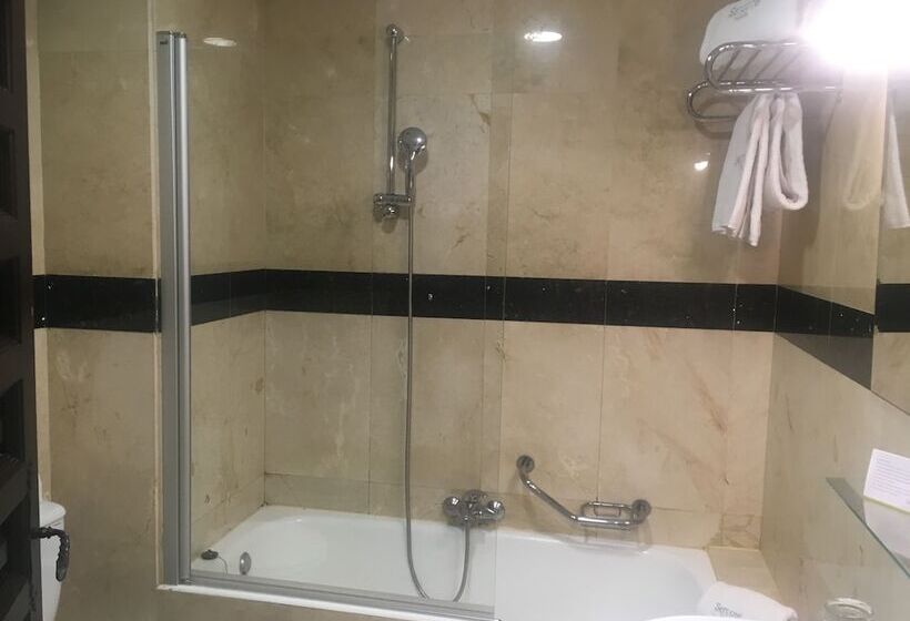 패밀리 룸, Sercotel Alfonso Vi