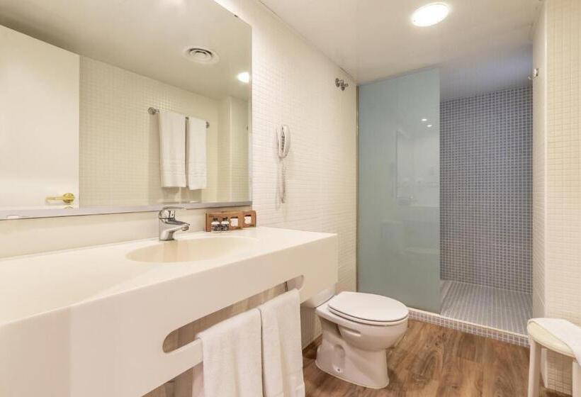 コンフォートトリプルルーム, Anabel