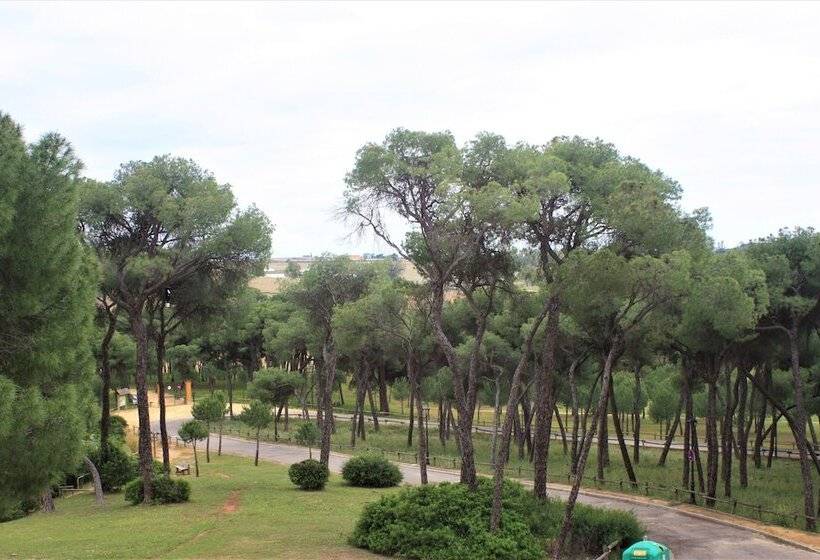 חדר סופריור, Oromana