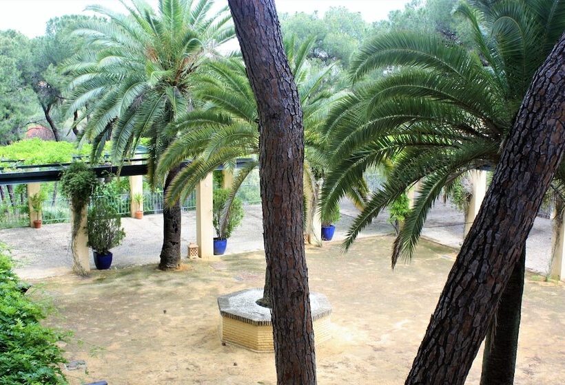 סוויטת ג'וניור, Oromana