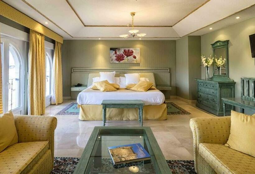 수피리어 룸, Sercotel Alfonso Vi