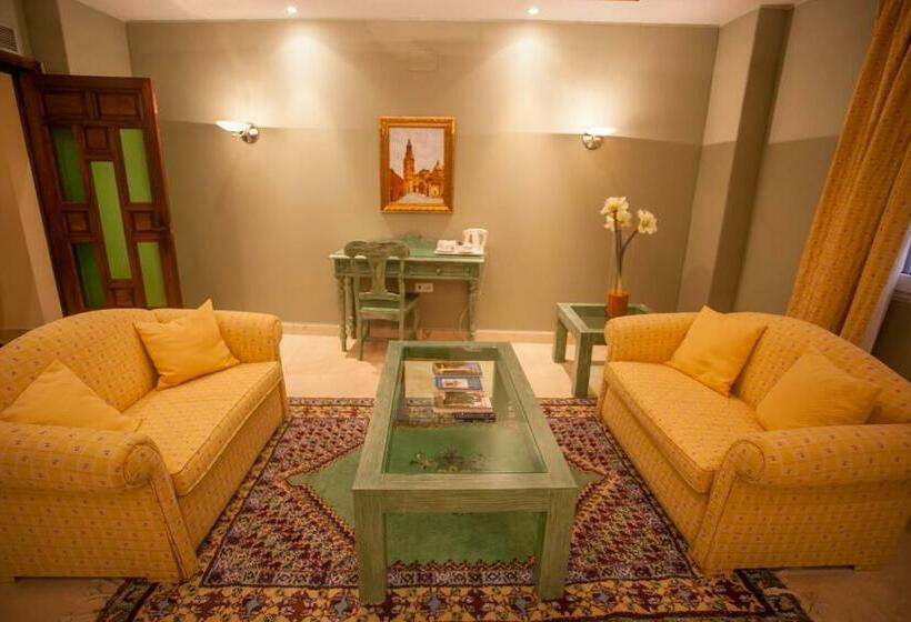 수피리어 룸, Sercotel Alfonso Vi