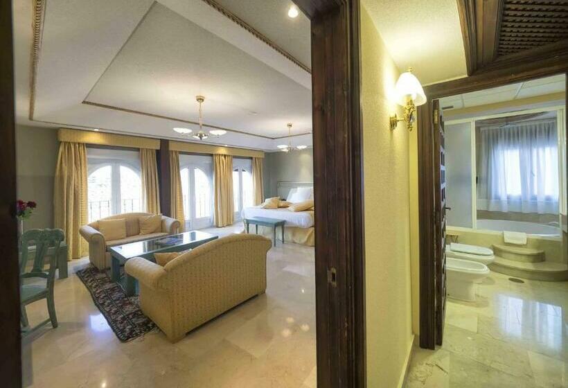 수피리어 룸, Sercotel Alfonso Vi