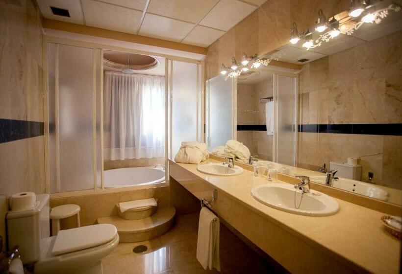 수피리어 룸, Sercotel Alfonso Vi