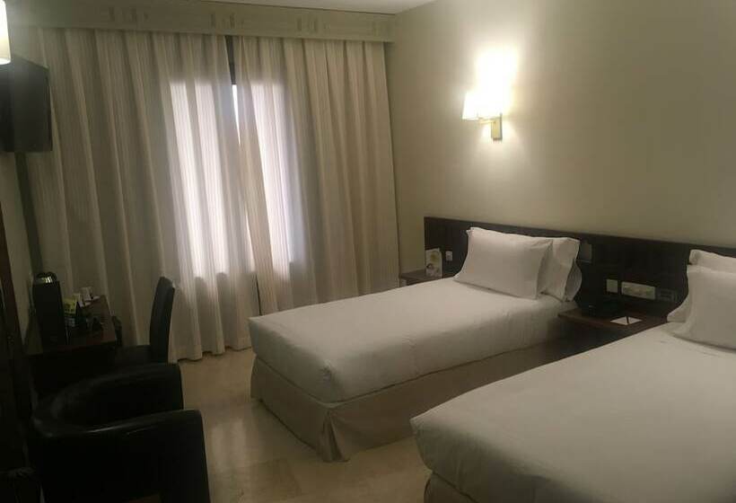 스탠다드 룸, Sercotel Alfonso Vi
