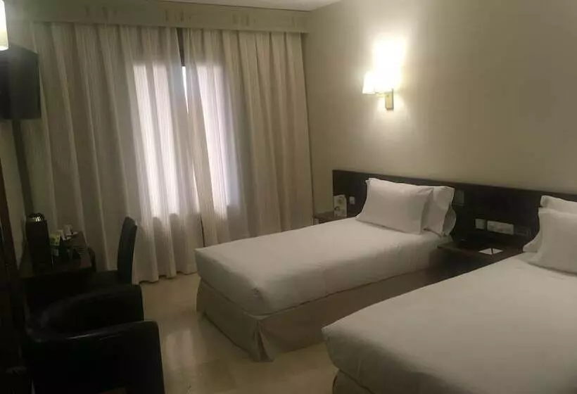اتاق استاندارد, Sercotel Alfonso Vi