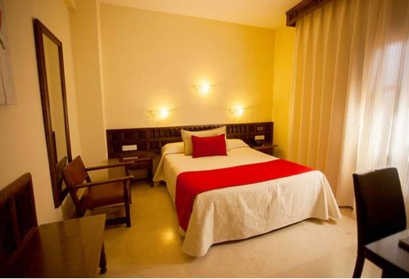 스탠다드 싱글 룸, Sercotel Alfonso Vi