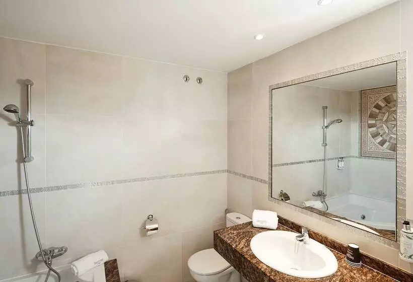 Superior Kolmen Hengen Huone, Sercotel Hotel President