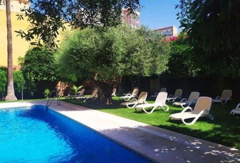 اتاق اکونومی, Aacr Hotel Monteolivos