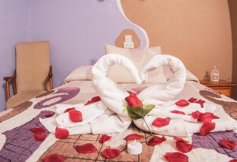 اتاق استاندارد, Hostal La Rosa