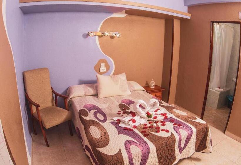 اتاق استاندارد, Hostal La Rosa