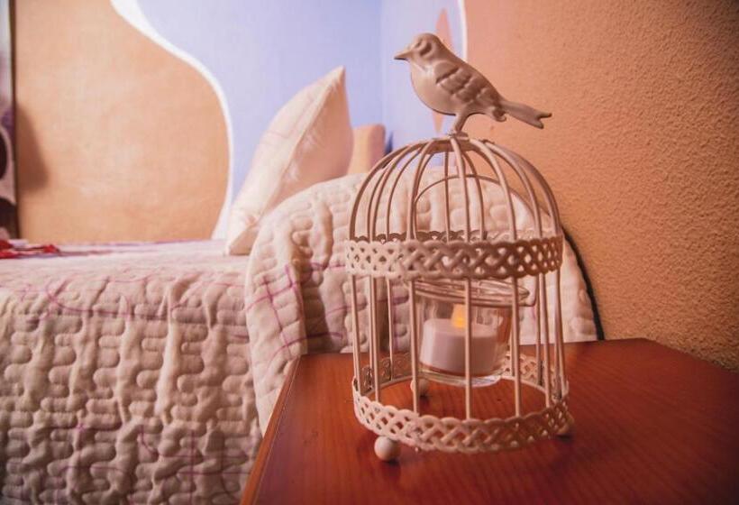 اتاق استاندارد, Hostal La Rosa