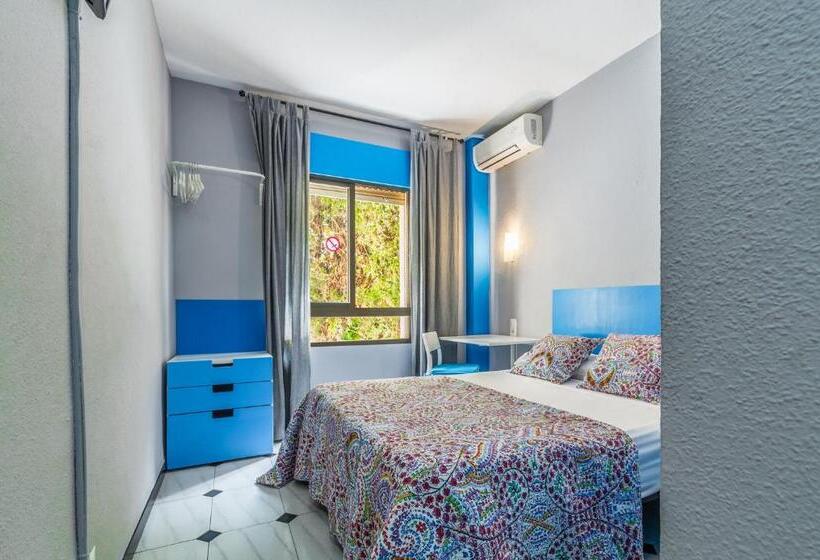 标准单人间, Hostal Tropical