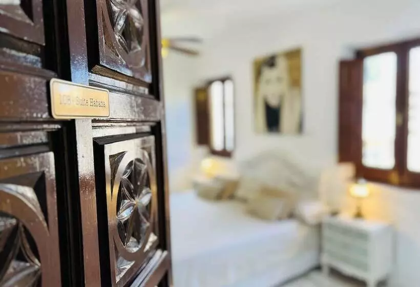 Habitació Deluxe, Ito Suecia
