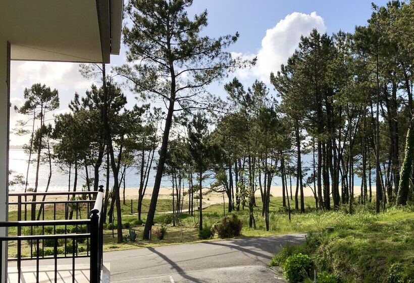 ベーシックルーム, Playa De Lago