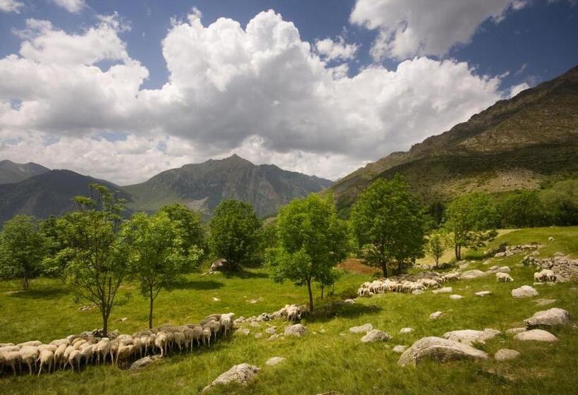 غرفة قياسية, El Bouquet
