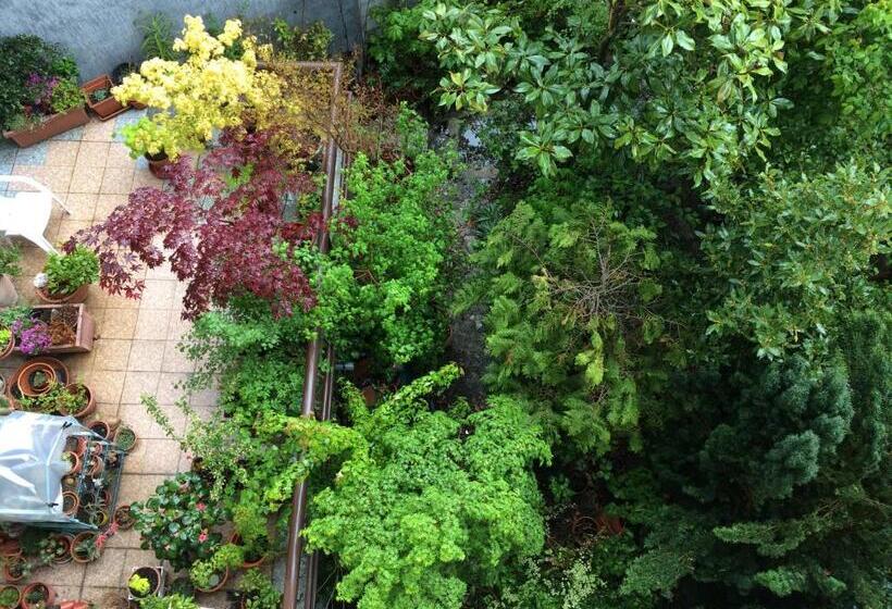 ガーデンビュースタンダードルーム, Mirasierra