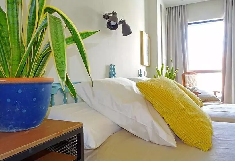 Superior-huone, Vicente Home
