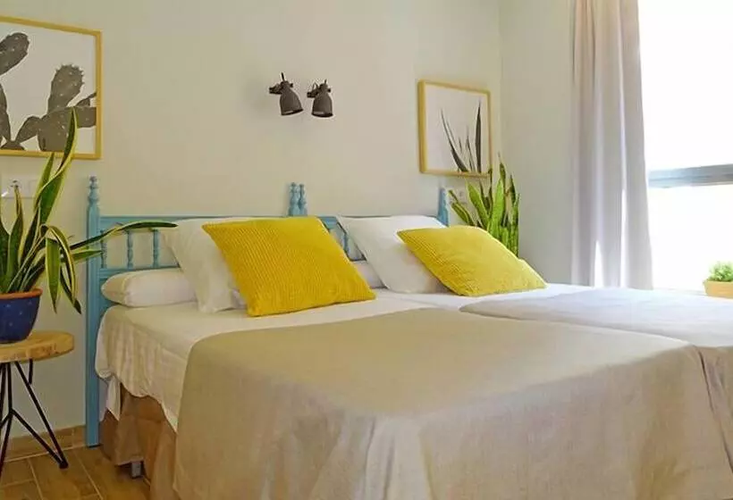 Superior-huone, Vicente Home
