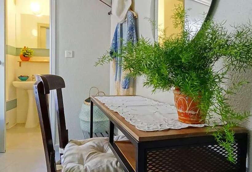 غرفة قياسية فردية, Vicente Home