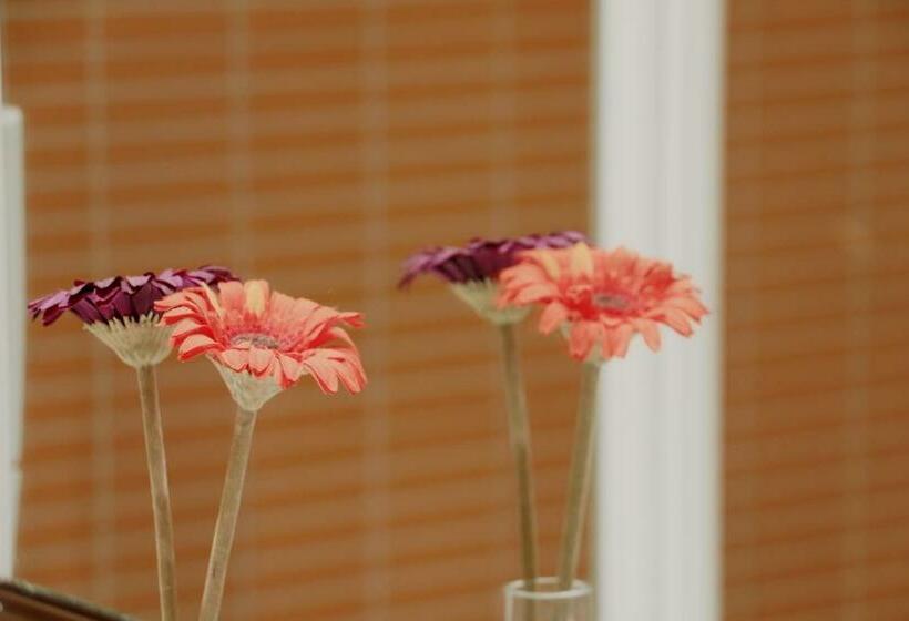 اتاق خانوادگی, Apartamentos Turisticos G3 Galeon