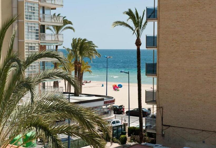 اتاق استاندارد با چشمانداز باغ, El Palmeral