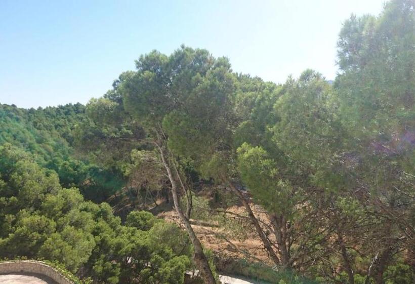 Номер Стандарт Индивидуальный, La Posada Del Conde