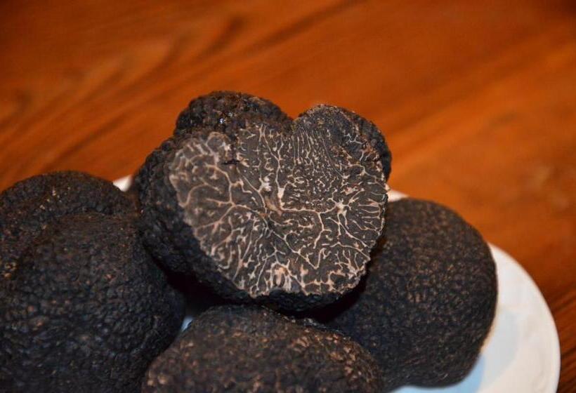 חדר סטנדרט, Los Leones   Adults Only