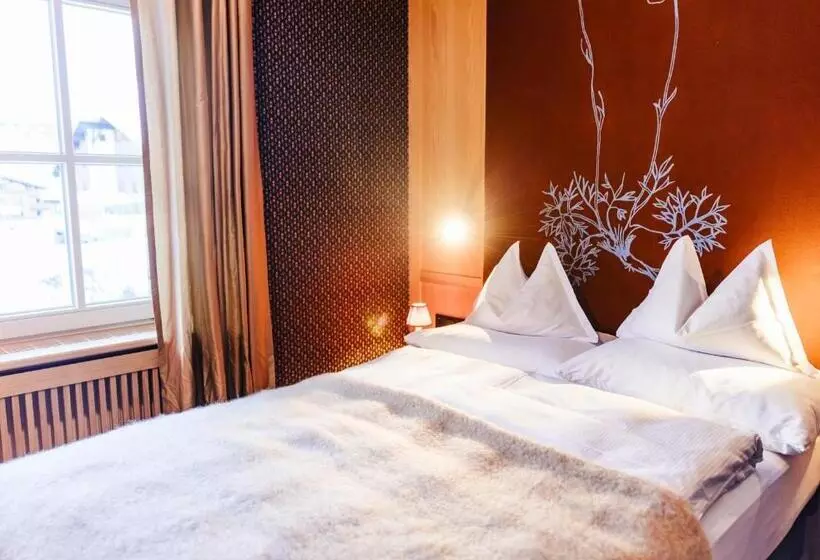 اتاق سوپریور یک تخته, Boutique Hotel Schmelzhof