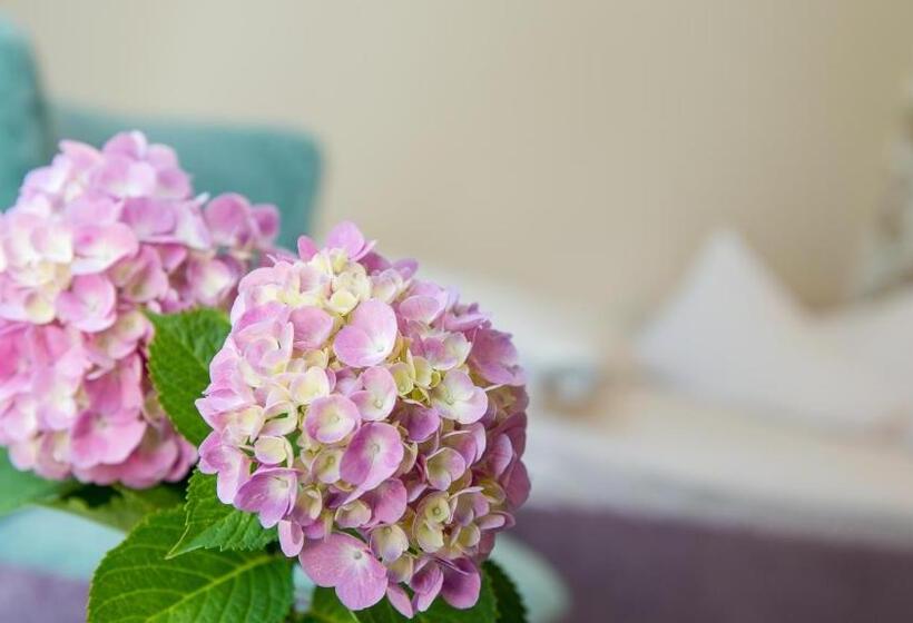 庭の見えるシングルルーム, Dermuth Hotels – Hotel Dermuth Pörtschach