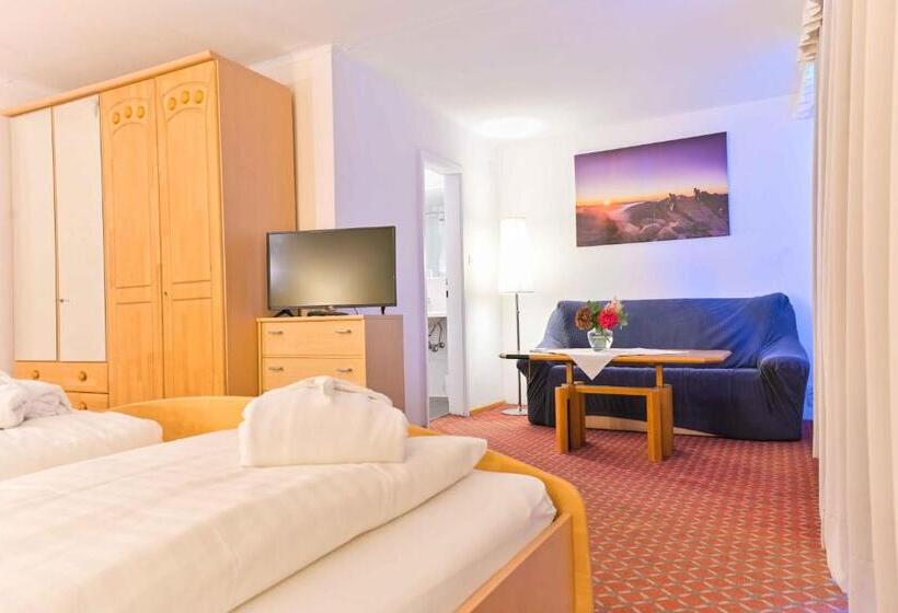 Номер Стандарт с Балконом, Ferienhotel Alber