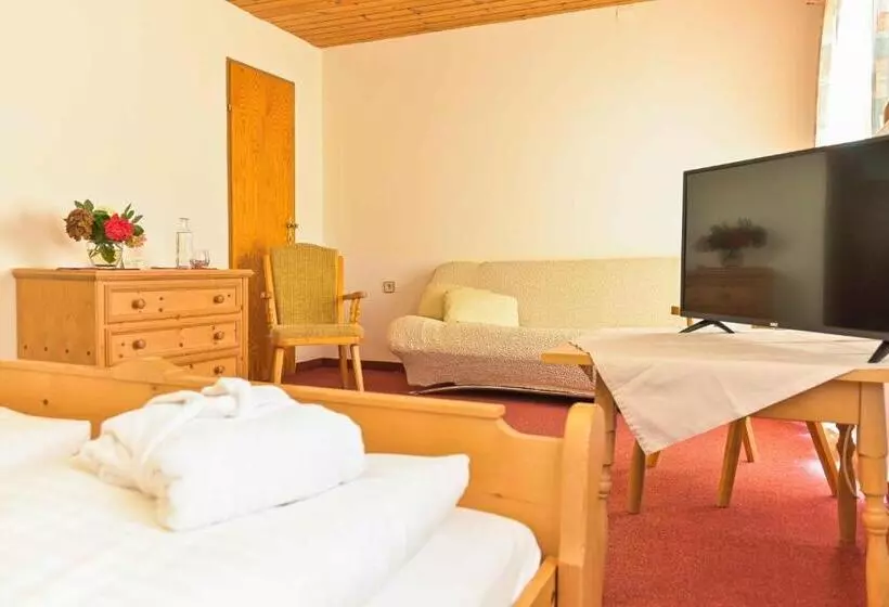 スタンダードルーム, Ferienhotel Alber