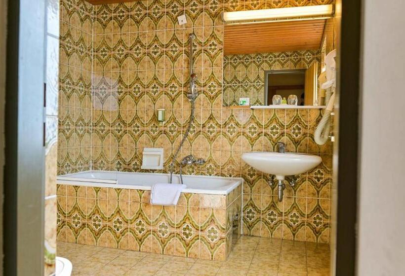 غرفة قياسية, Ferienhotel Alber