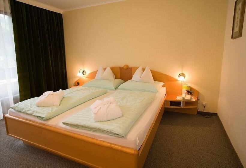 חדר סטנדרט נוף להרים, Achentalerhof